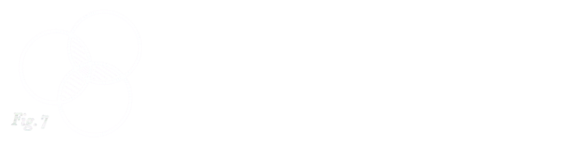 National Leader Forum
